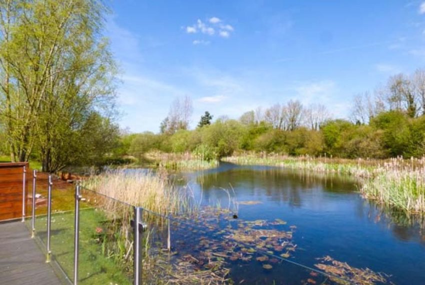 Dragonfly Lodge Lake