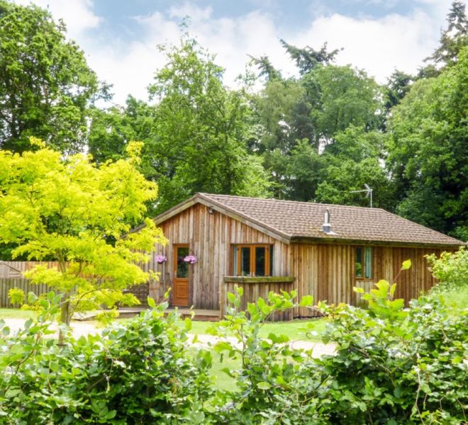 Meadow View Outside