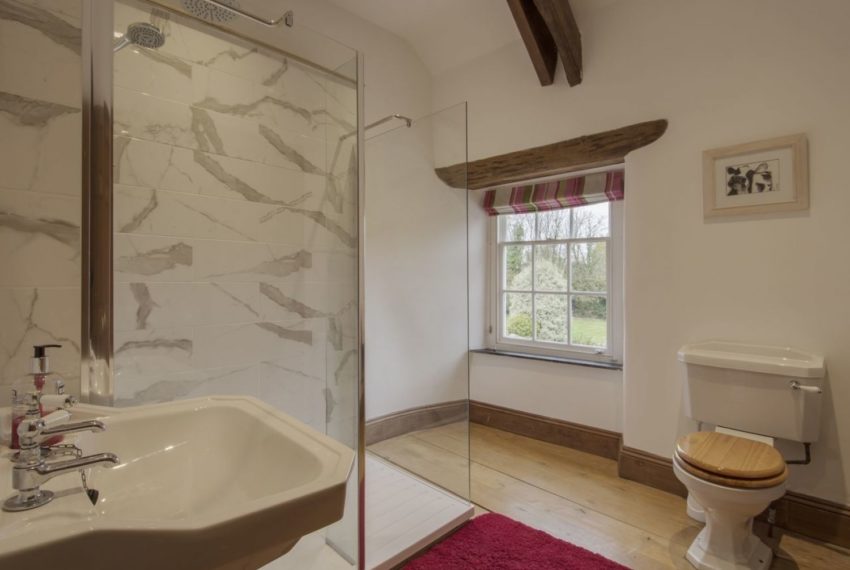 Oak Tree Bathroom