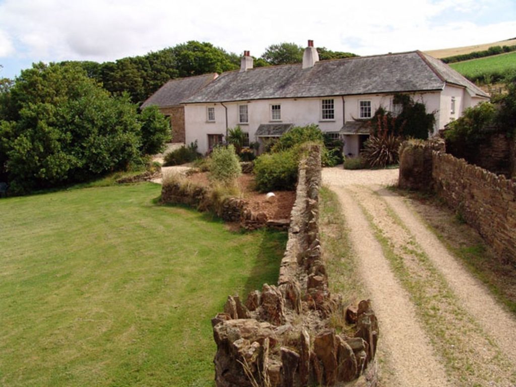 Oak Tree Main