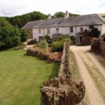 Oak Tree Main