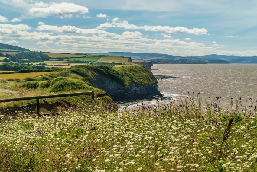 Quantock Hide Coast