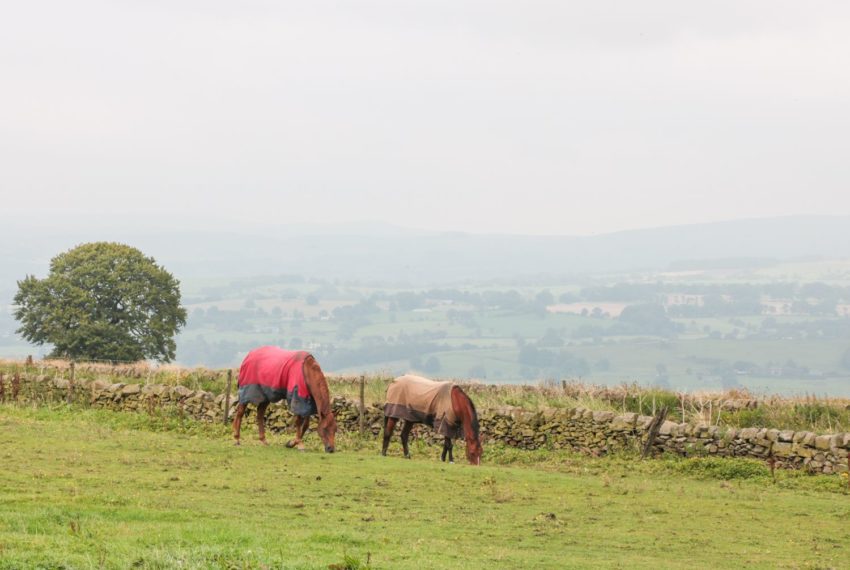 Butterlands Farmhouse Views