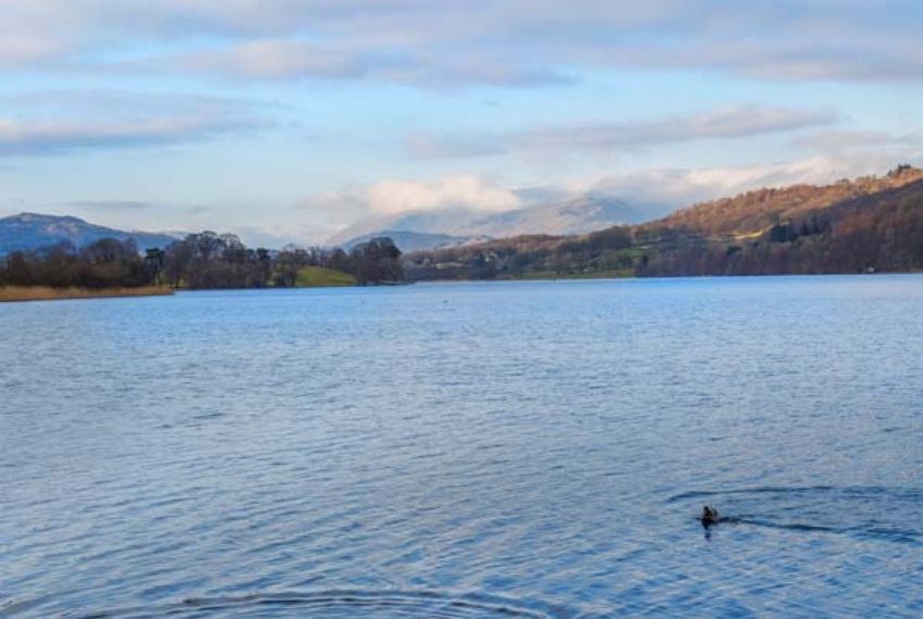 Loweswater Views