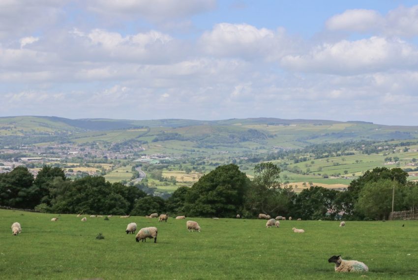 Swallow Barn Views