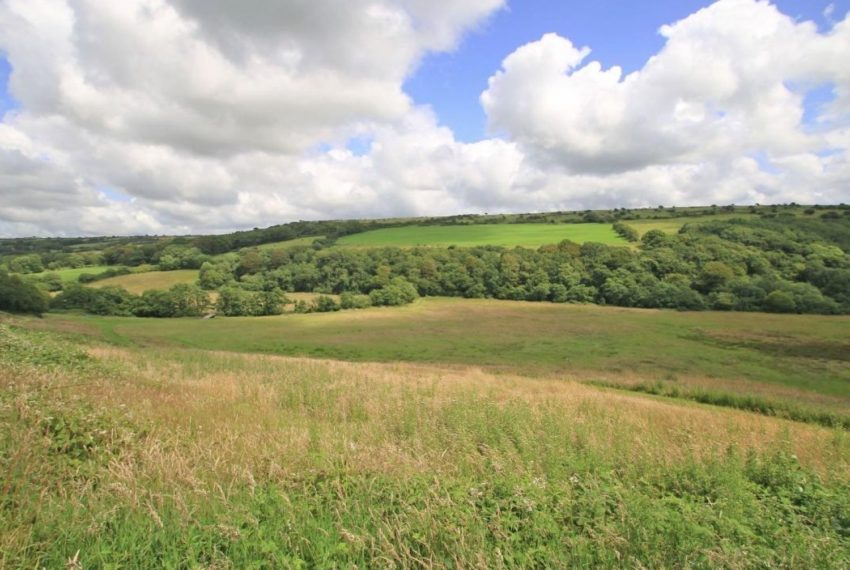 The Farmhouse Views