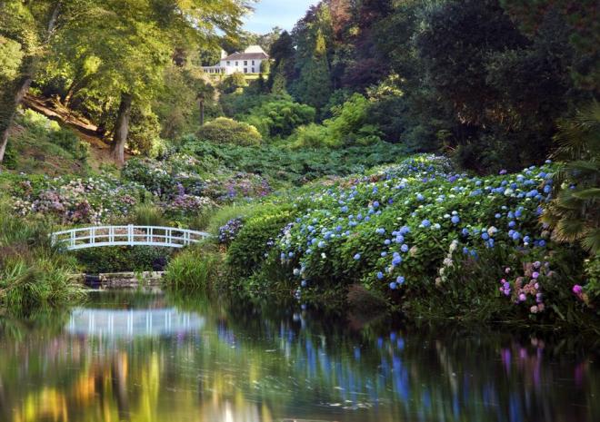 Trebah Garden