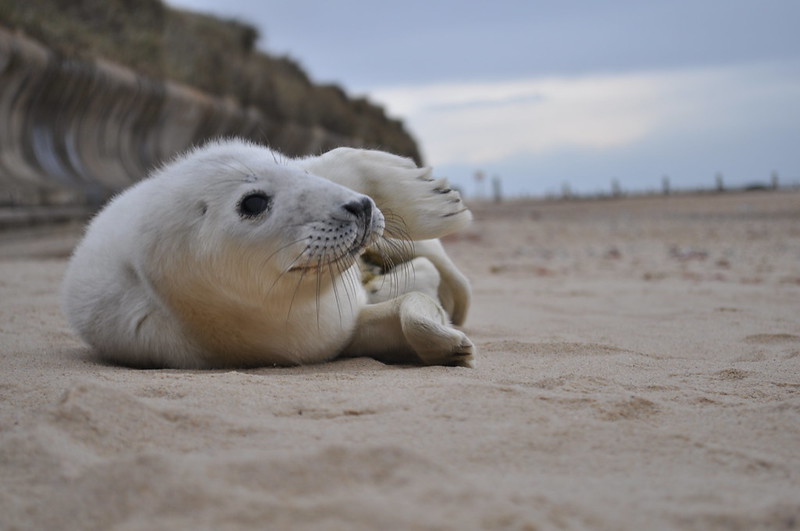 Winterton Beach