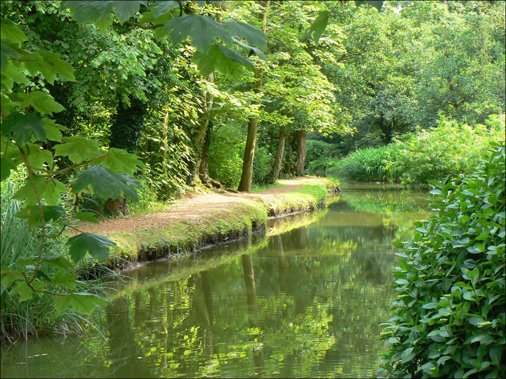 Fair Haven Woodland & Water Garden