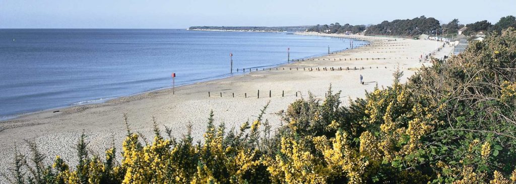 Steamer Point Beach