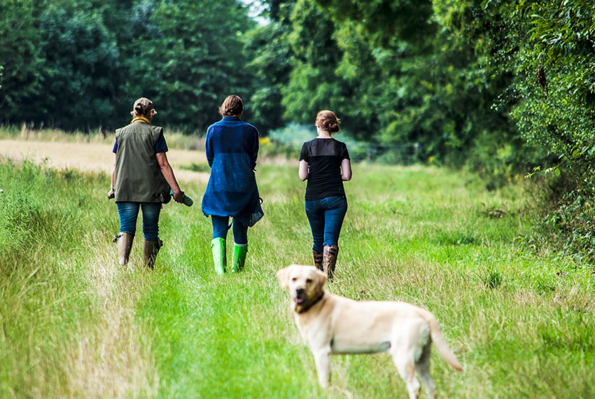 Dog Friendly Days Ot in Devon