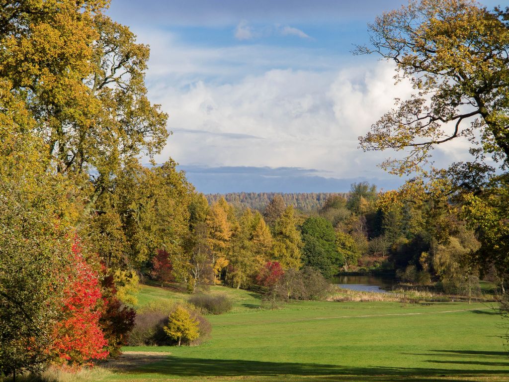 The Yorkshire Arboretum