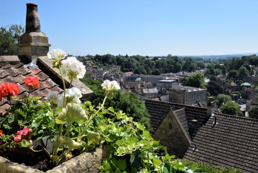 Honeybee Cottage Views