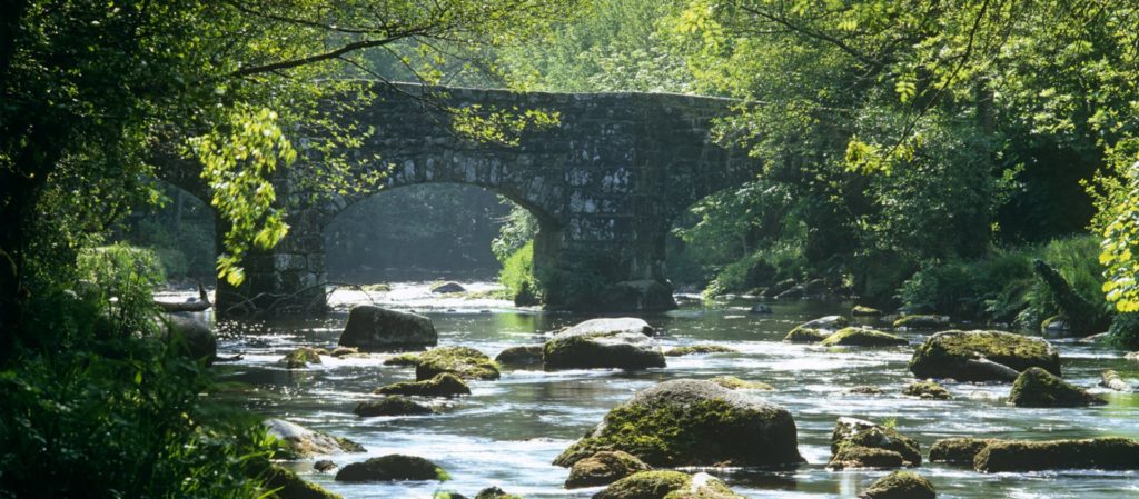 Fingle Bridge