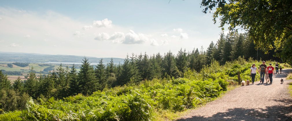 Haldon Forest Park