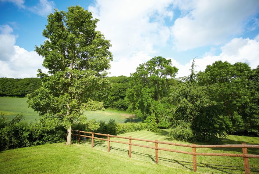 The Granary Walks