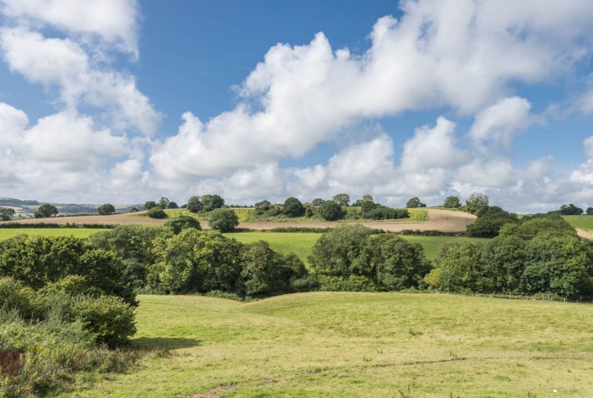 Views Over Marshwood Vale