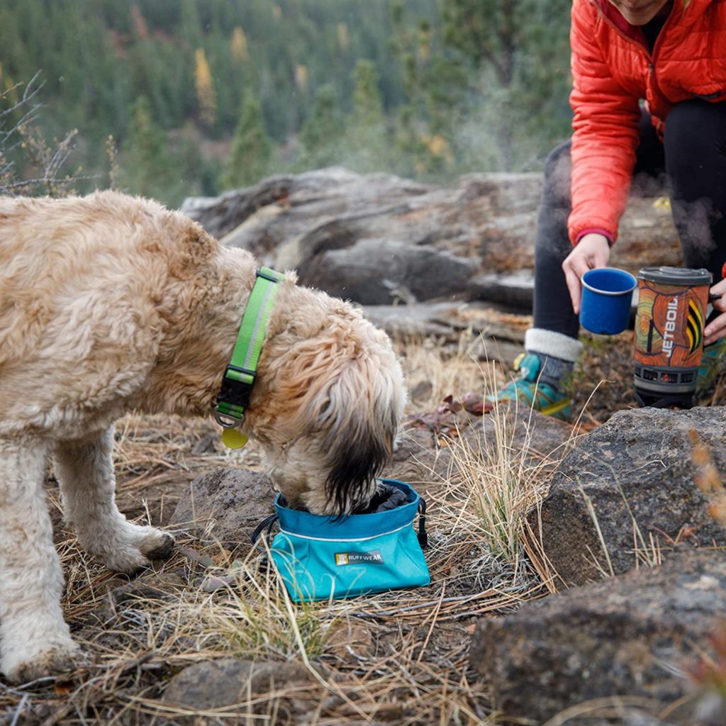 Ruffwear Portable Dog Bowl