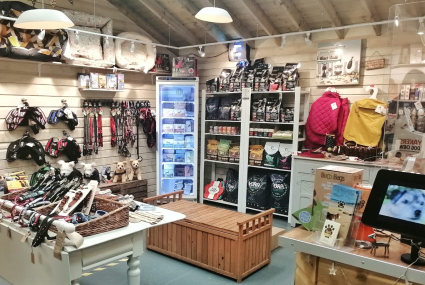 Paws in Padstow Dog Boutique