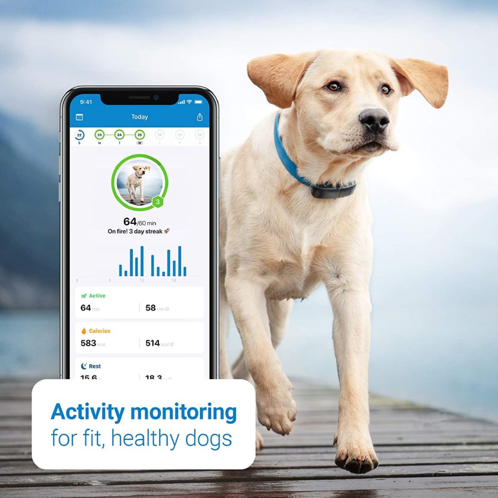 Tractive GPS Monitor App