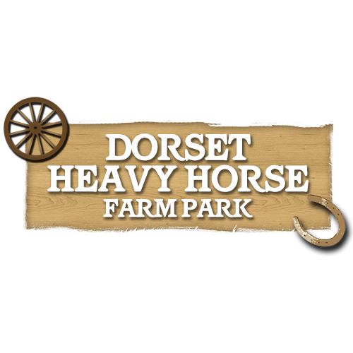 Dorset Heavy Horse Farm Park