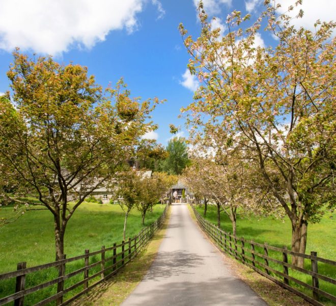 Bassicks Cottage Driveway