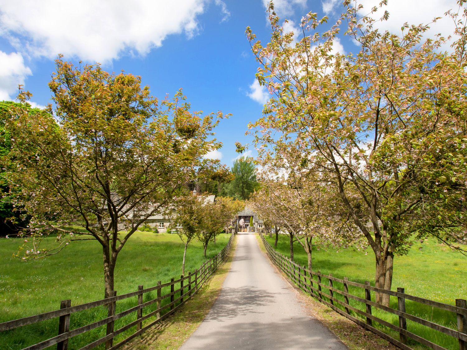 Bassicks Cottage Driveway