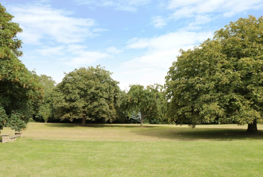 Modney Hall Garden